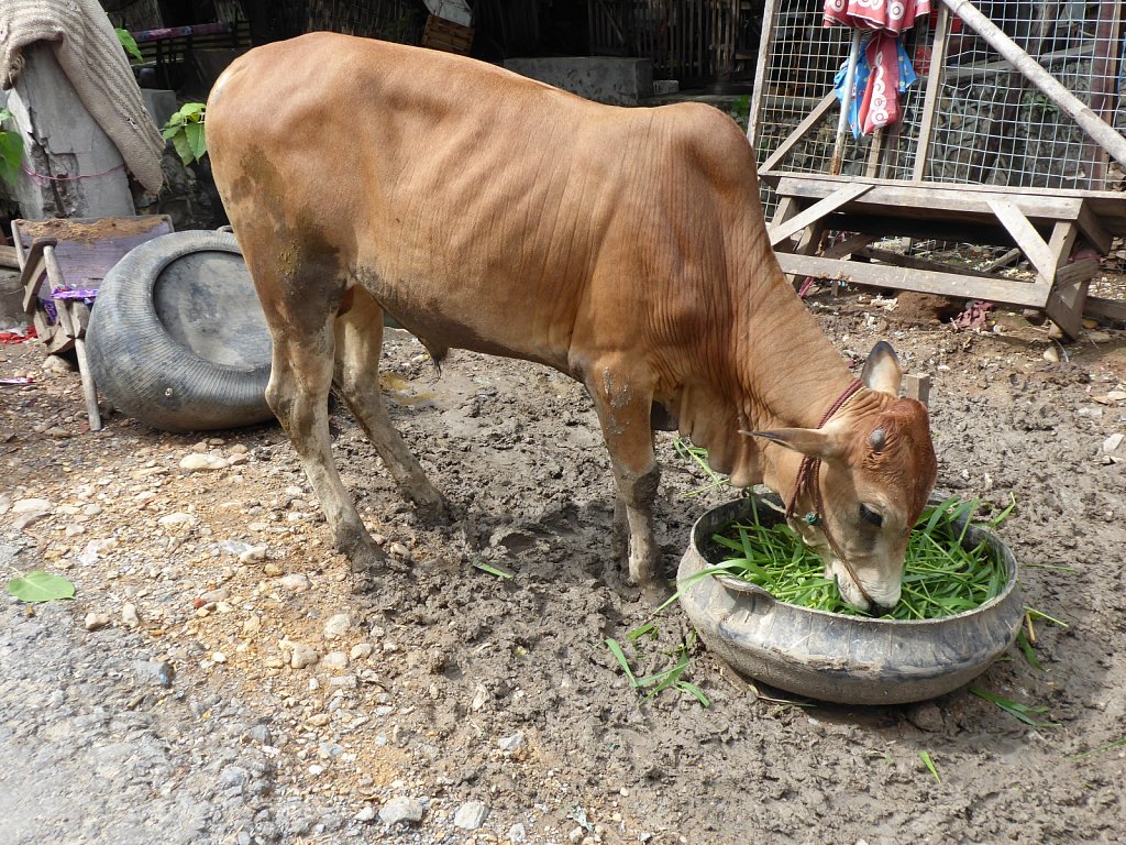 P1000814.JPG