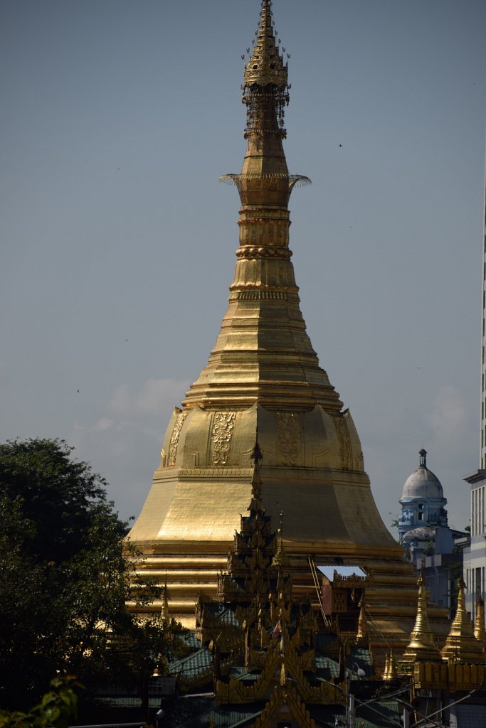DSC-7230.JPG