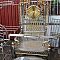 DSC-7870.JPG