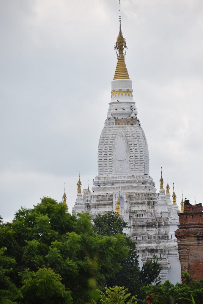 DSC-8047.JPG
