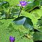 IMG-6573.jpg