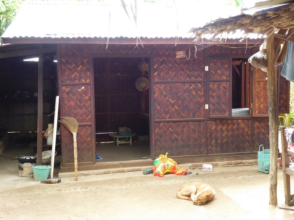 P1000856.JPG