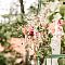 Hochzeit-Elisabeth-Martin-181.jpg